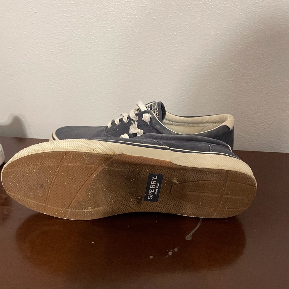 Mens Canvas Sperry